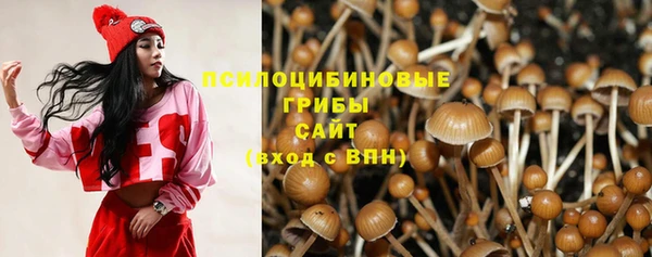 соль ск Заволжье