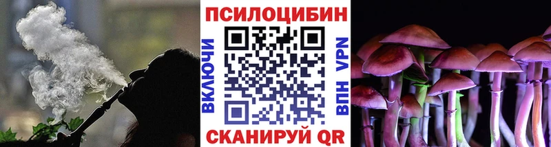 Галлюциногенные грибы MAGIC MUSHROOMS  Купить  Каменногорск 